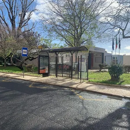 Asf Лиссабон